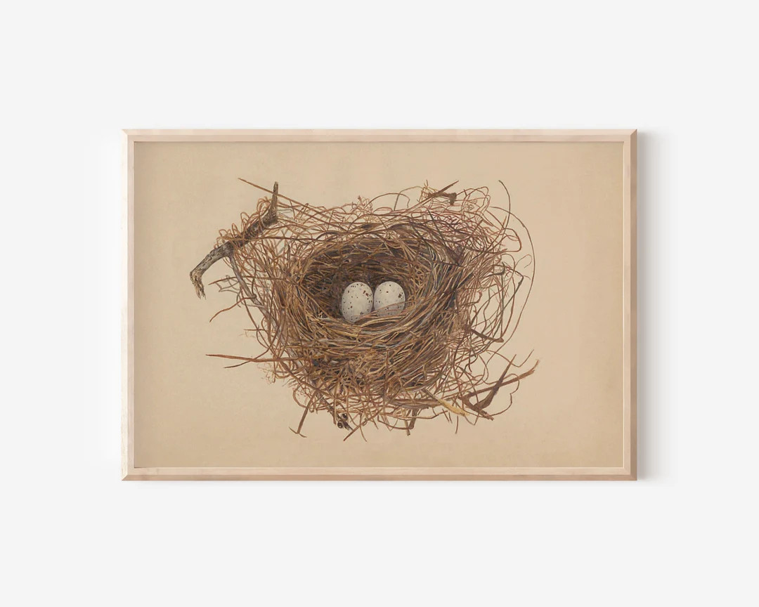 Vintage Birds Nest Art Print Charming Nest Poster Easter Art Digital Download Print by Aureate Vi... | Etsy (US)