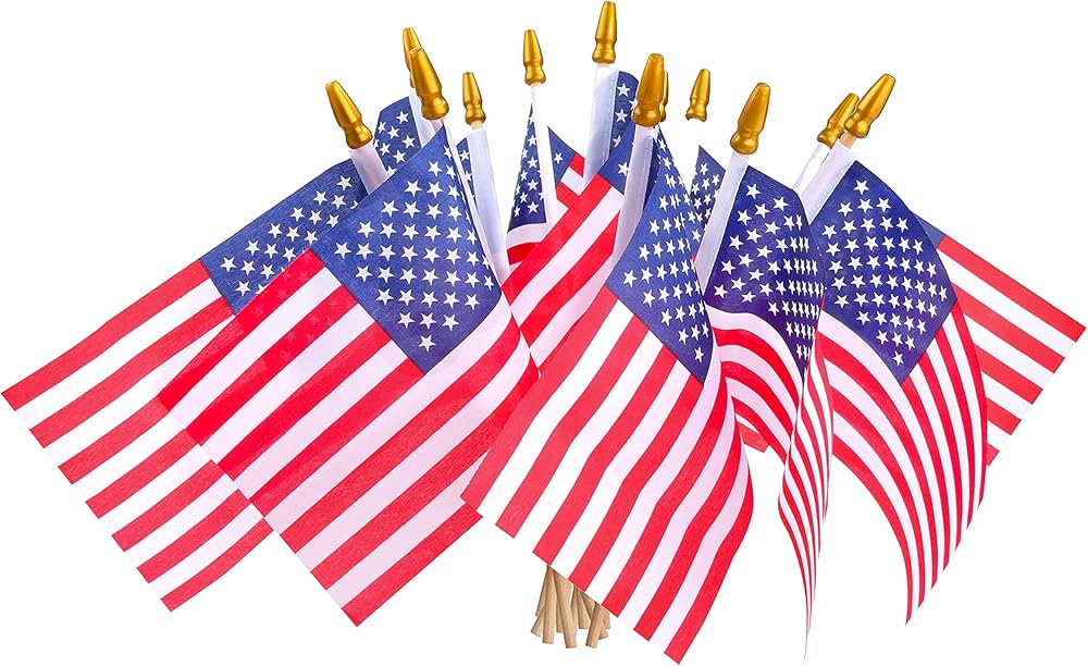 12 Pcs Small American Flags on Stick,4th of July Outdoor Decor Small US Flags Mini American 4''x6... | Amazon (US)