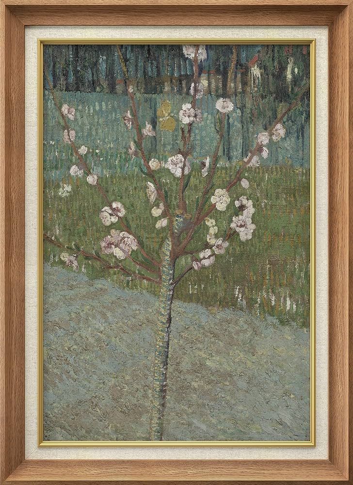 SIGNWIN Premium Frame Art Almond Tree in Blossom by Vincent Van Gogh Classical Historical Illustr... | Amazon (US)