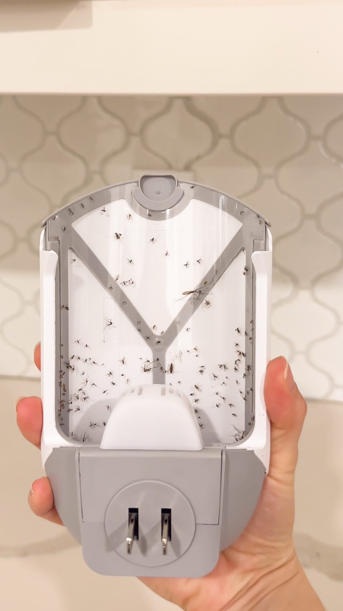 Summer’s great… until the uninvited guests show up. 🦟 This plug is my bouncer. 

#LTKHome