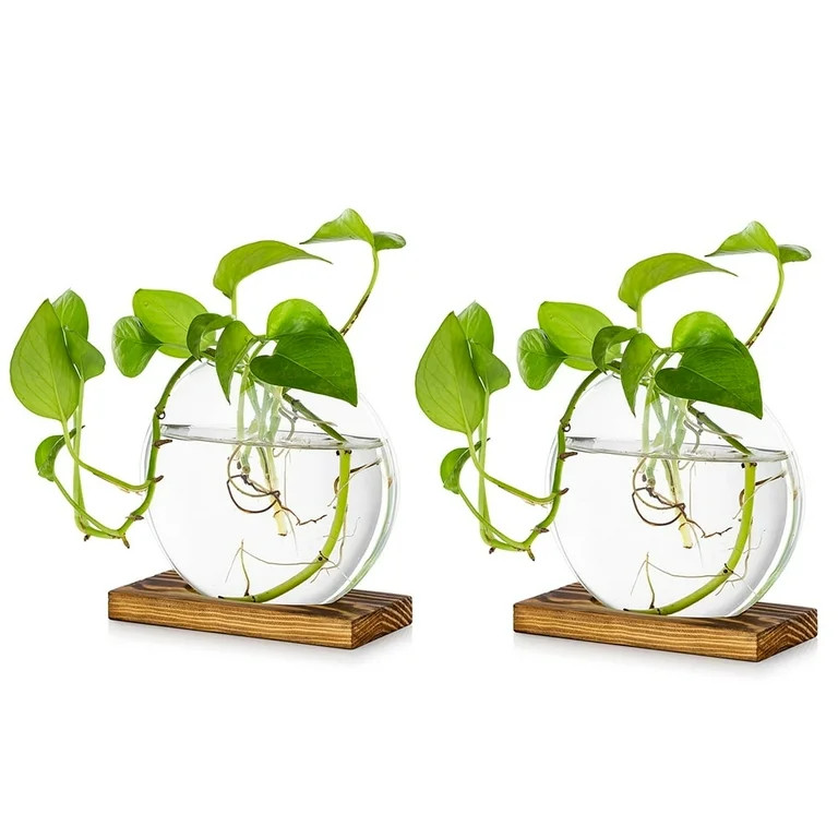 Glasseam Plant Propagation Station Vase: Set of 2 Cute Glass Terrarium Jars, Modern Hydroponic Pl... | Walmart (US)