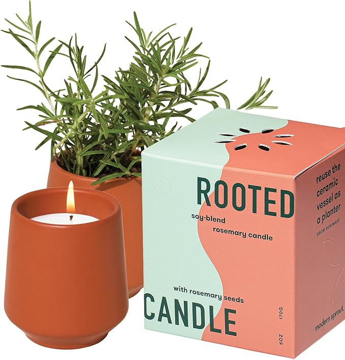 Modern Sprout Rooted Candle - 2 in 1 Cucumber Scented & Soy Candle with Seeds That Grows into Ros... | Amazon (US)