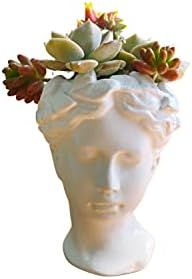MeGgdecor Head Concrete Planter Statue (Greek Female) for Indoor & Outdoor Plants, Fit for Usage ... | Amazon (US)