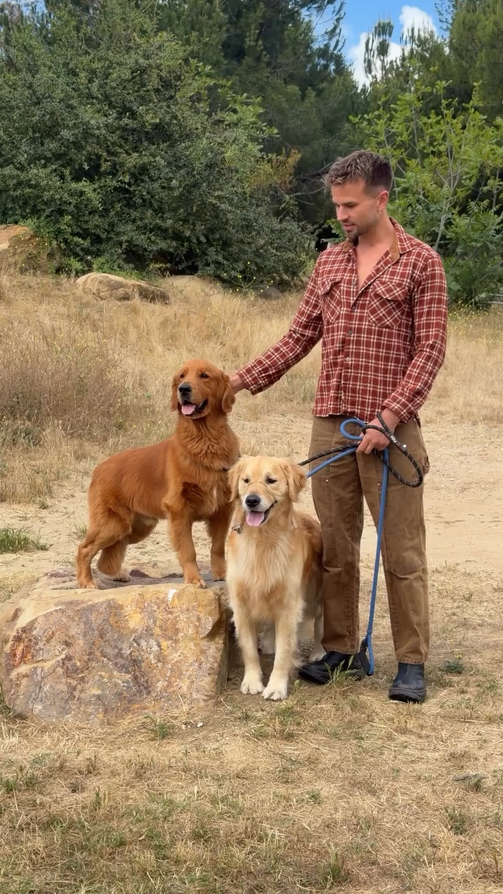 Double the Golden, double the fun 🤩

Every time Ralphie the Golden Retriever visits for a training vacation, he gets extra excited to see his bestie Legend.  Working them together just makes our training work feel like the most fun play date for him!
