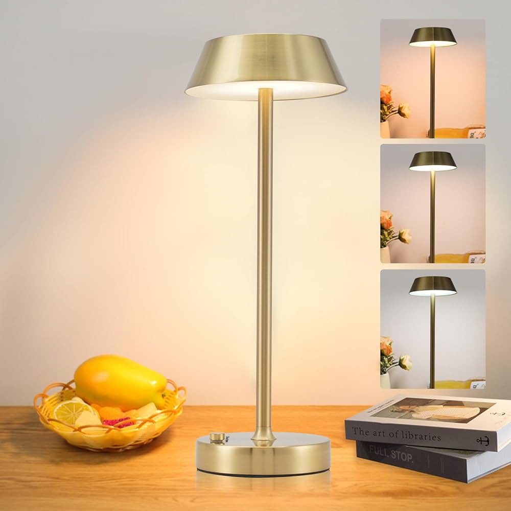 Cordless Table Lamp, 3 Colors Stepless Dimming,5000mAh Battery Operated Touch Lamp,Portable LED D... | Amazon (US)