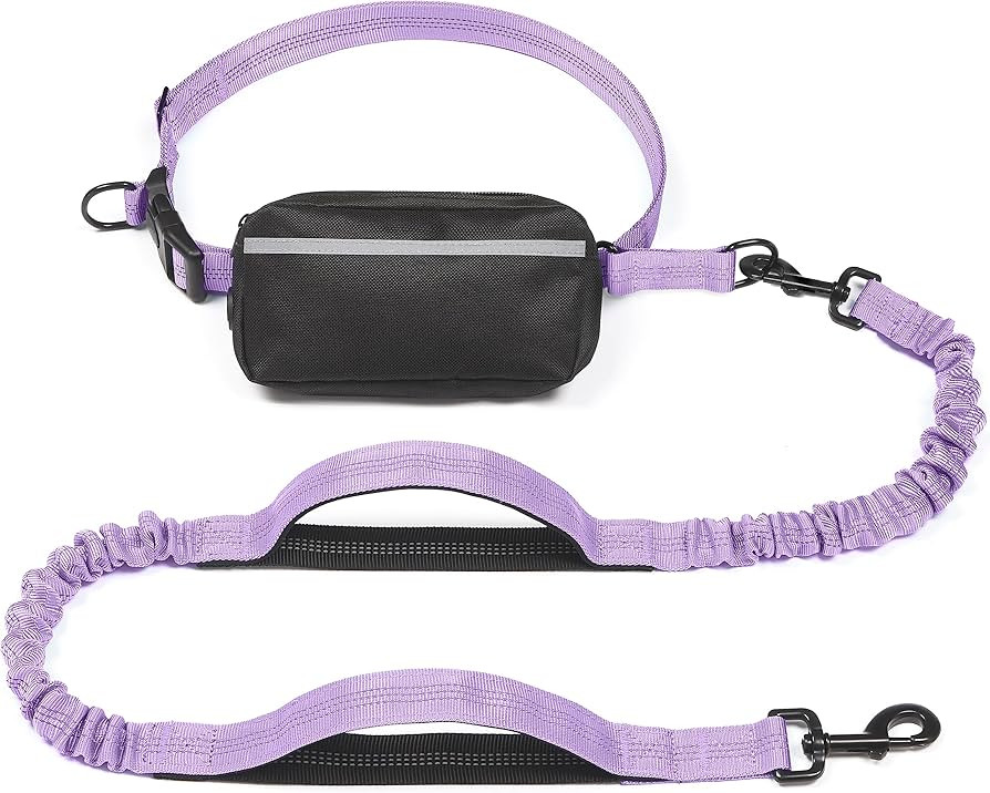 iYoShop Hands Free Dog Leash with Zipper Pouch, Dual Padded Handles and Durable Bungee for Walkin... | Amazon (US)