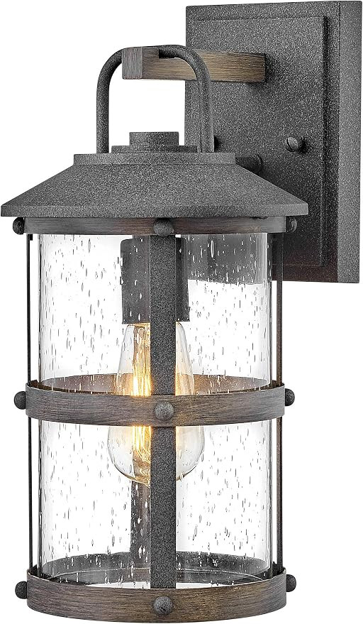 Hinkley Lakehouse 2680DZ Small Outdoor Wall Lantern - Coastal Style, Nautical Touches, Clear Seed... | Amazon (US)