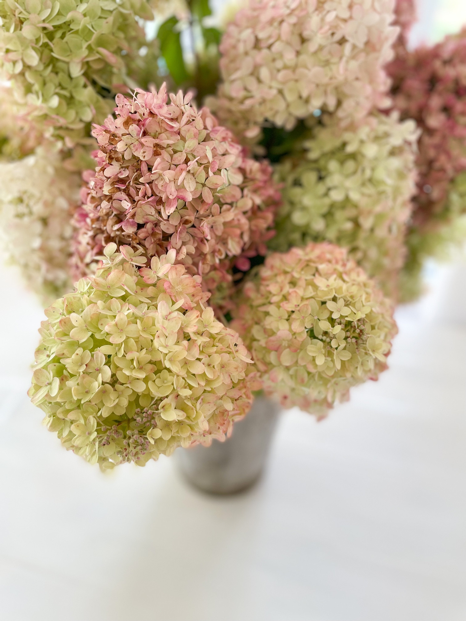 HYDRANGEA BLISS WITH A VINTAGE BUCKET 
.
Simple can be gorgeous 🤍

#LTKhome #LTKstyletip