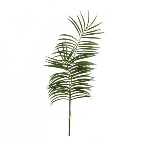 Palm Leaf Branch | Megan Molten