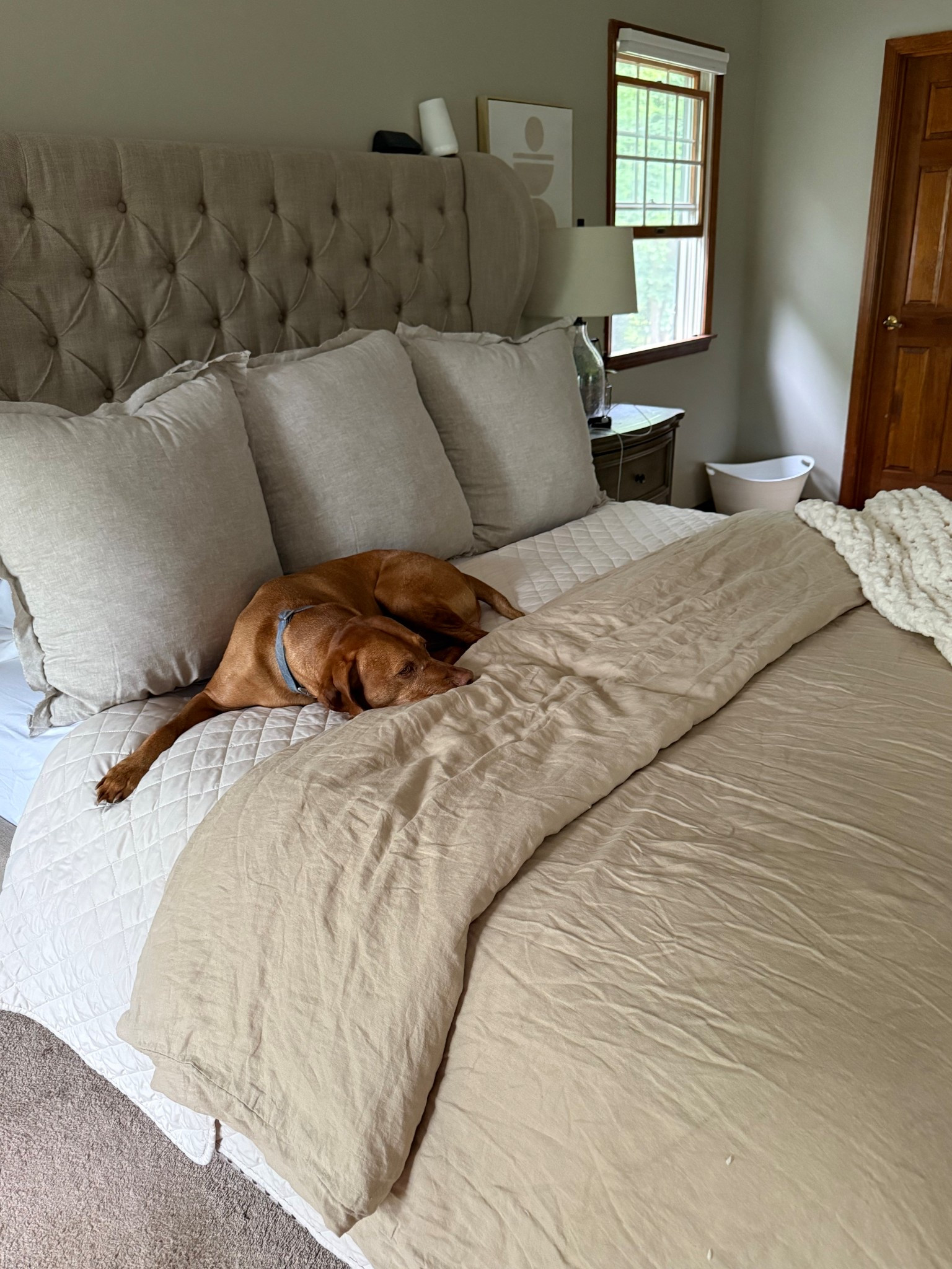 Quick little bedding refresh, Duncan approved 