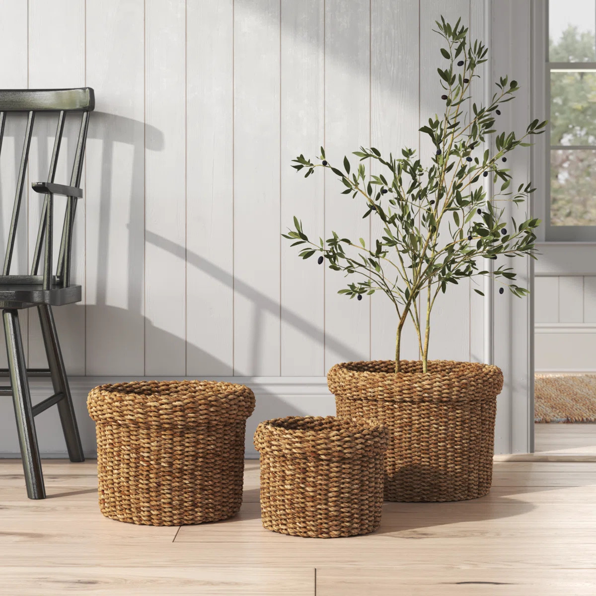 Birch Lane™ Charton Seagrass Basket | Wayfair North America