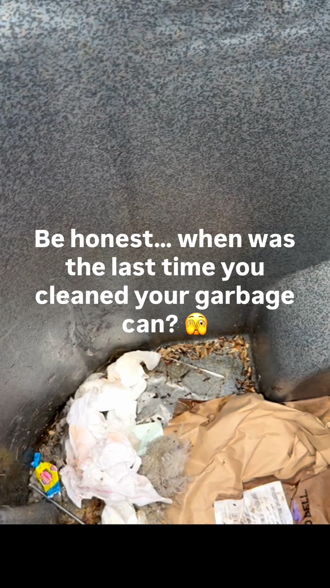 If you’ve been putting off cleaning your garbage can… this is your sign. 🤢

Somehow mine got maggots (don’t judge 😅), so it was officially time.

Here’s exactly what I used:
🧼 Dawn dish soap
🍶 vinegar
💦 Hot water
🪥 A good scrub brush

A few minutes later, it was clean, deodorized, and I no longer dreaded opening the lid.

Save this for the next time your garbage can starts smelling… and send it to the friend whose trash can probably needs this too. 😂

#CleaningTips #HomeCleaning #DeepCleaning #CleaningMotivation #CleanHome #HouseholdHacks