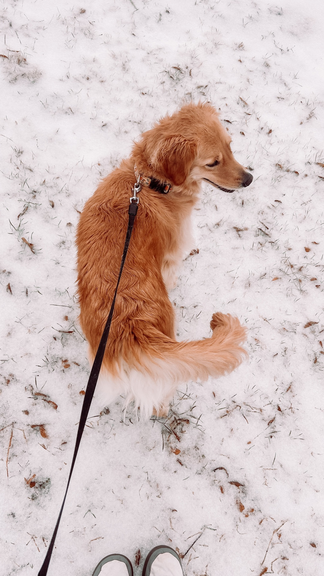 // spend a winter storm morning with us!! ❄️🧊☁️🫶🏻 // 

#LTKdayinmylife #LTKmorningroutine #LTKvlog