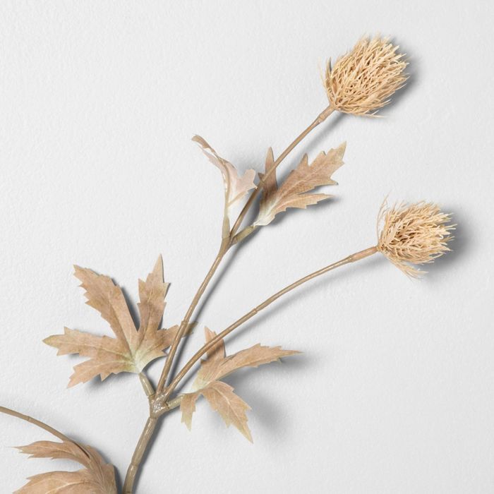 25" Faux Bleached Thistle Stem - Hearth & Hand™ with Magnolia | Target