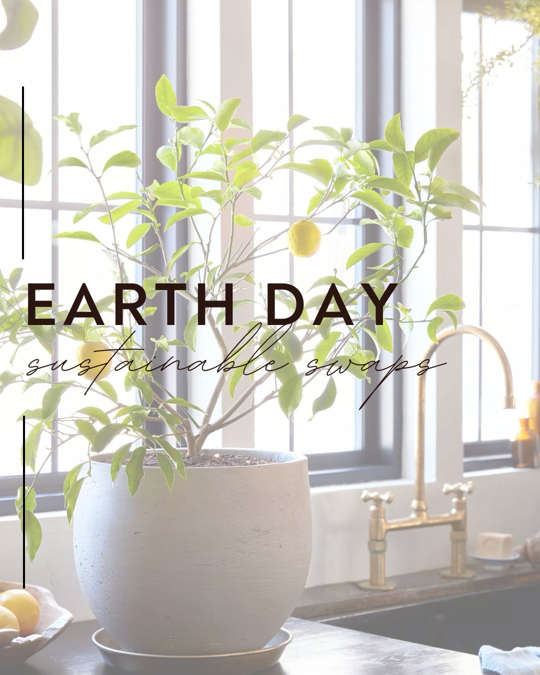 Happy Earth Day! Here are some easy sustainable swaps you can make in your routine to make a difference. 

#LTKFindsUnder100 #LTKHome