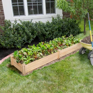 Cedar Raised Garden Bed | Wayfair North America