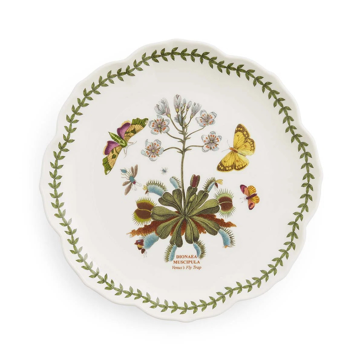 Botanic Garden Lotus 9" Plate (Set of 4) | Wayfair North America