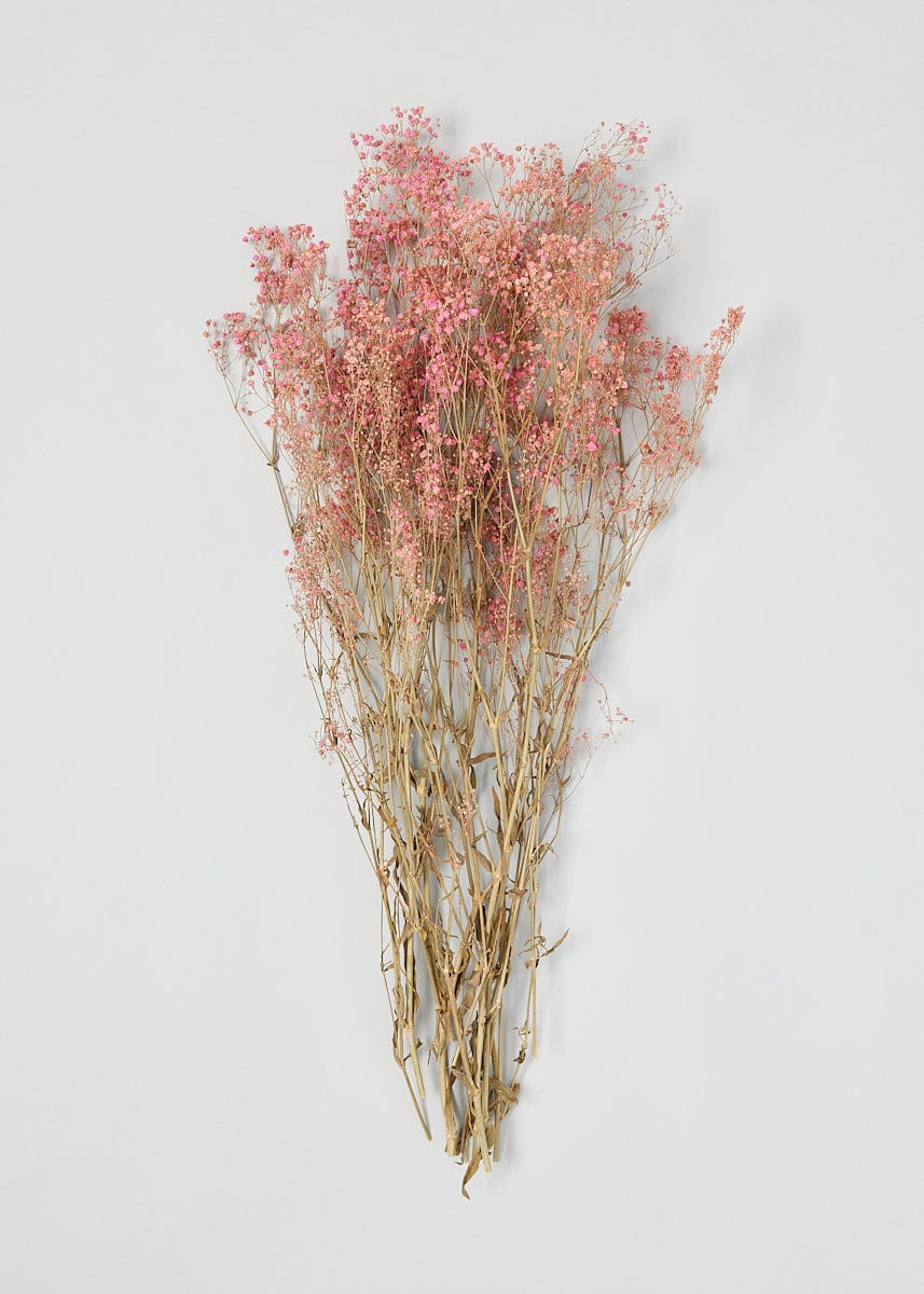 Pink Preserved Gypsophila Flower Bundle - 23-28.5" | Afloral