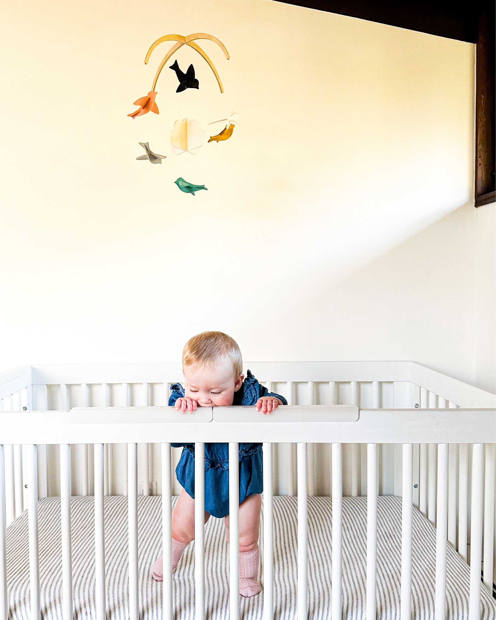 crib rail protectors - adding this the list of random things I find myself googling as a new parent 😂 The little lady has quite the sophisticated pallet including gnawing on the crib rails. Apparently, non-toxic paint is quite tasty. 

These ones blend right in and basically became another teething toy, so everyone’s happy. 

Aesthetically Pleasing ⭐️⭐️⭐️⭐️⭐️
Baby Friendly               ⭐️⭐️⭐️⭐️⭐️

#LTKbaby #LTKhome #LTKkids