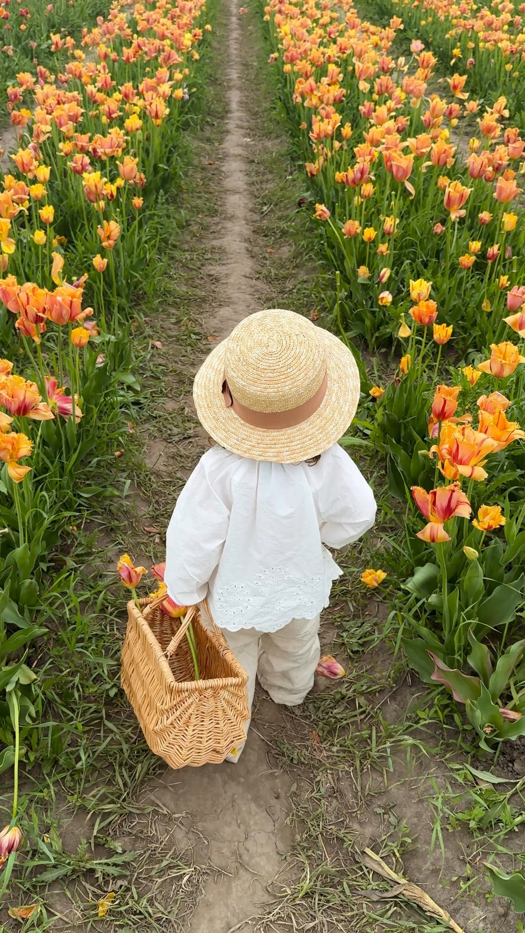 pure joy in fields of flowers 🌷☁️✨

#LTKbaby #LTKspring #LTKkids