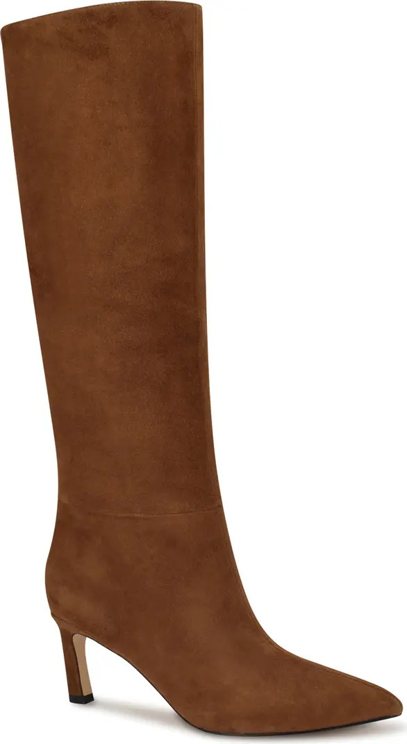 Lorthey Pointed Toe Knee High Boot (Women) | Nordstrom