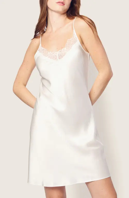 Petite Plume Silk Lace Slip Dress in White at Nordstrom, Size Medium | Nordstrom