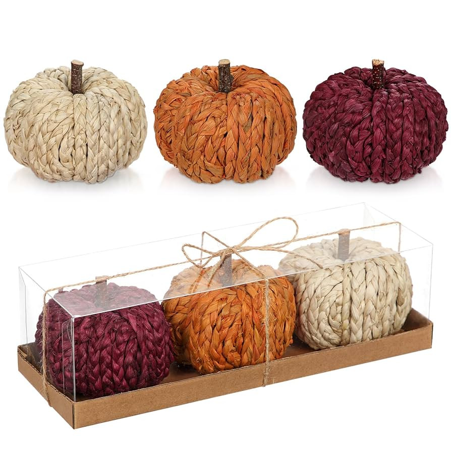 Hollyone Fall Pumpkin Decor 3 PCS Faux Pumpkins Rattan Pumpkins for Decorating Foam Woven Small F... | Amazon (US)