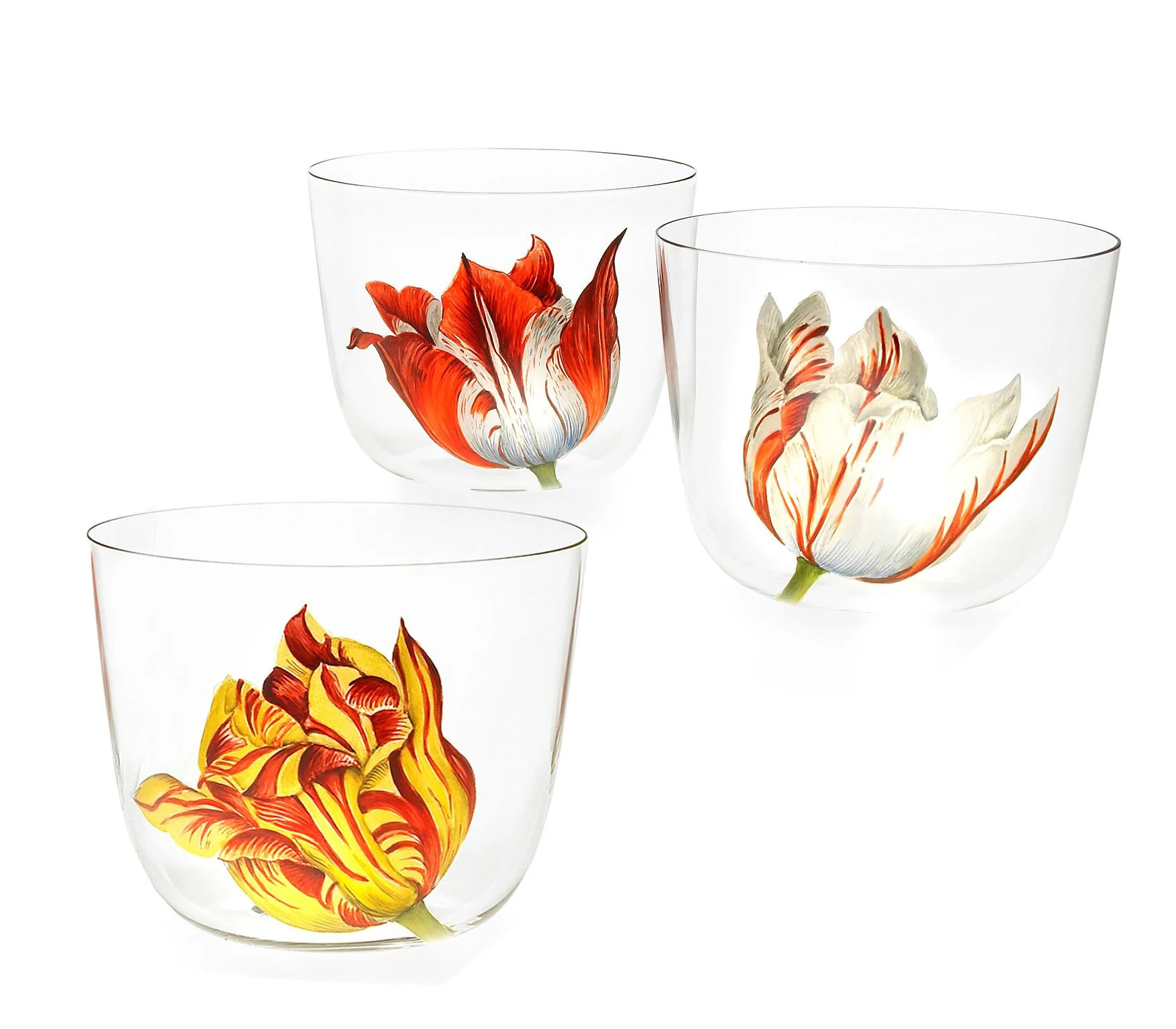 Tulipmania Water Tumbler (Set of 6) | Lakeview Home