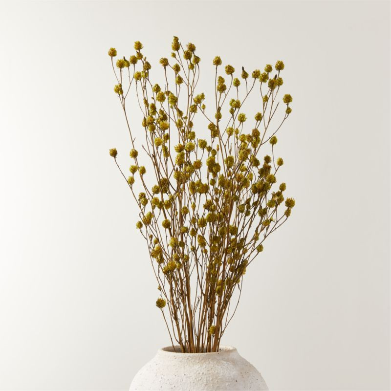 Dried Argentina Grass Bunch 30" + Reviews | CB2 | CB2