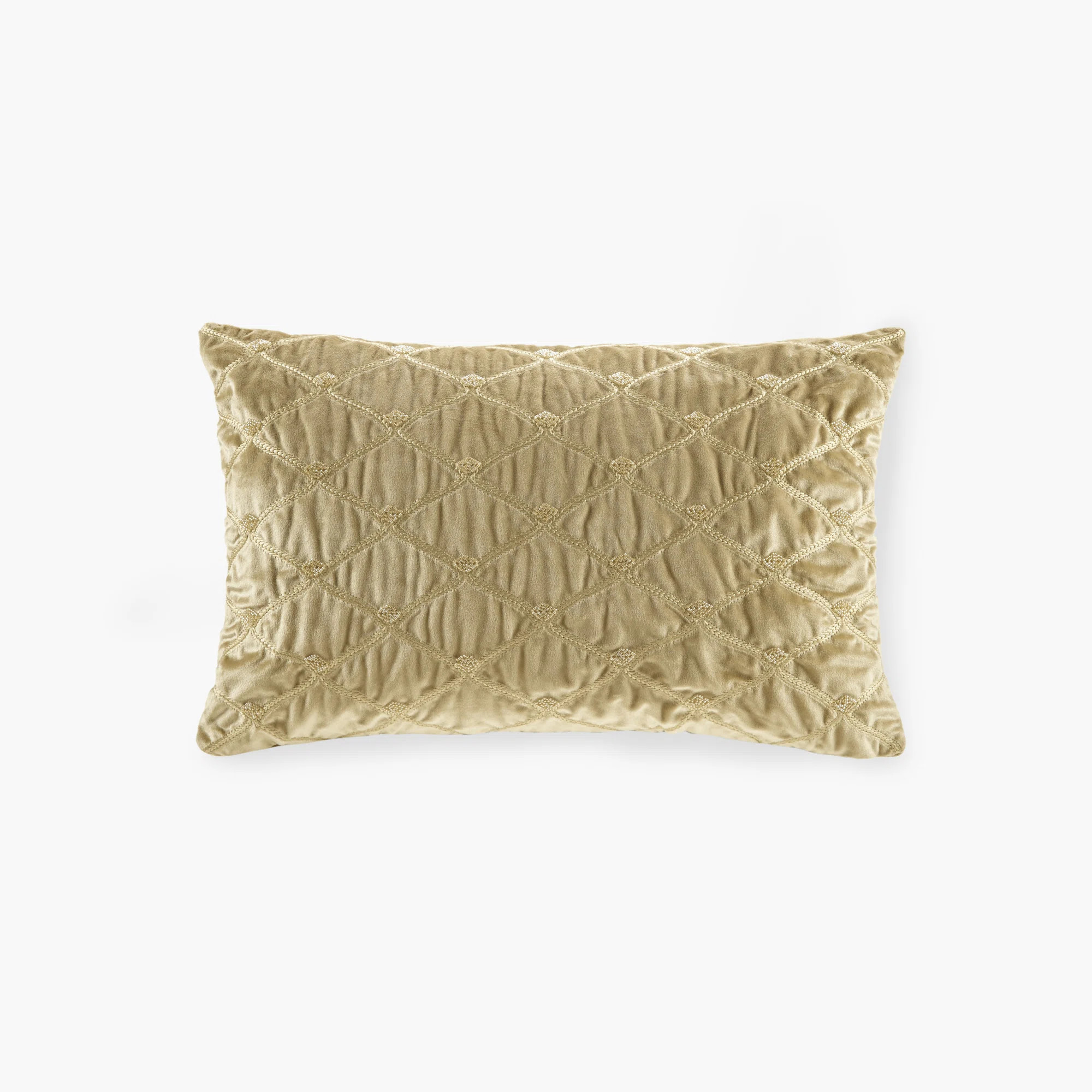 Embroidered Velvet Throw Pillow | Wayfair North America
