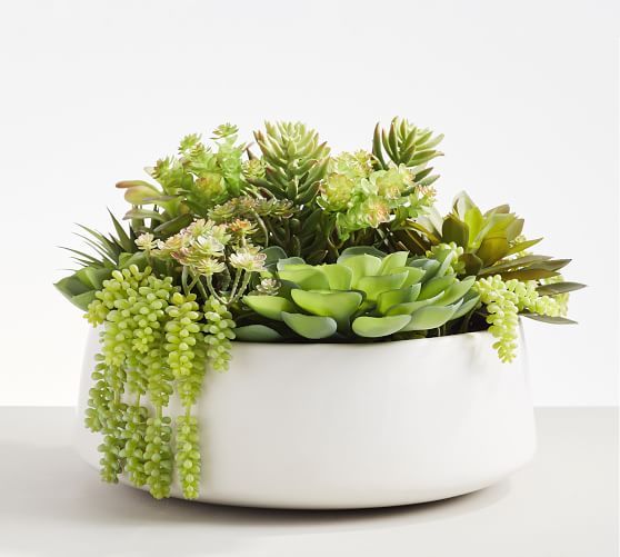 Faux Succulent Arrangement in Ceramic Planter | Pottery Barn (US)