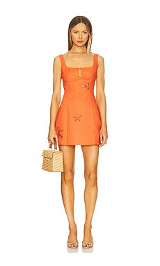 SNDYS Flora Mini Dress in Volcanic from Revolve.com | Revolve Clothing (Global)