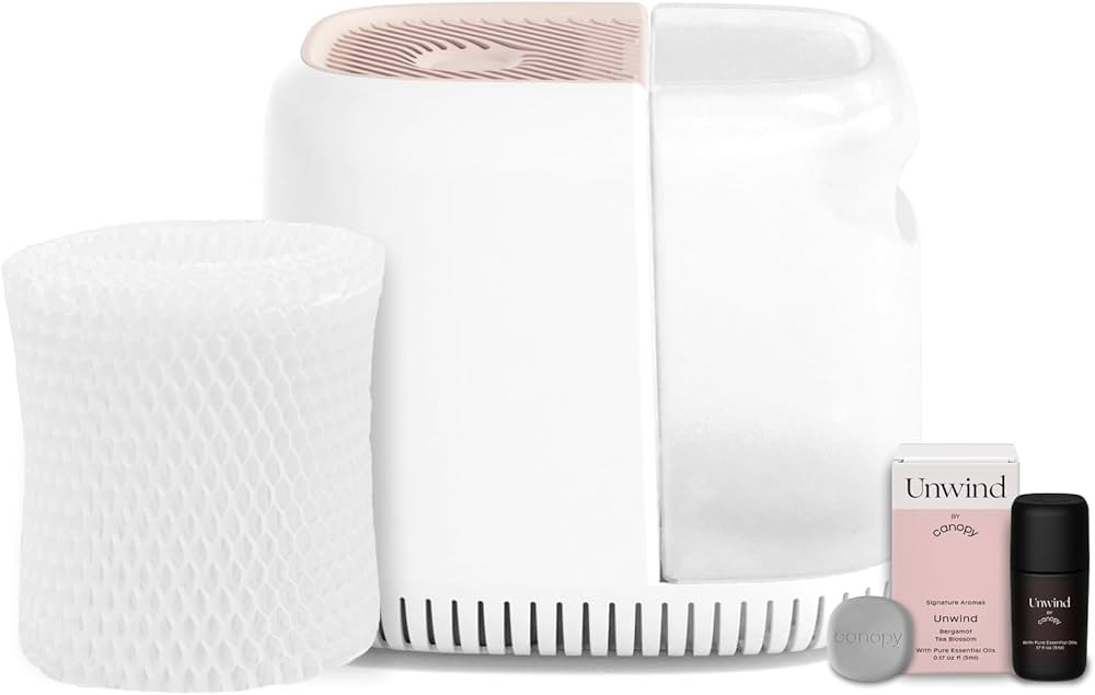 Bedside Humidifier, Pink Humidifier, 36 HR Run Time, 2.5L Capacity - Help Alleviate Symptoms of A... | Amazon (US)