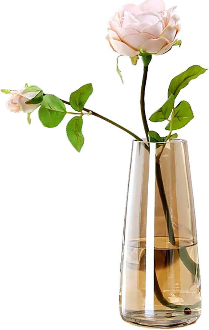 FANTESTICRYAN Modern Glass Vase Irised Crystal Clear Glass Vase for Home Office Decor | Amazon (US)