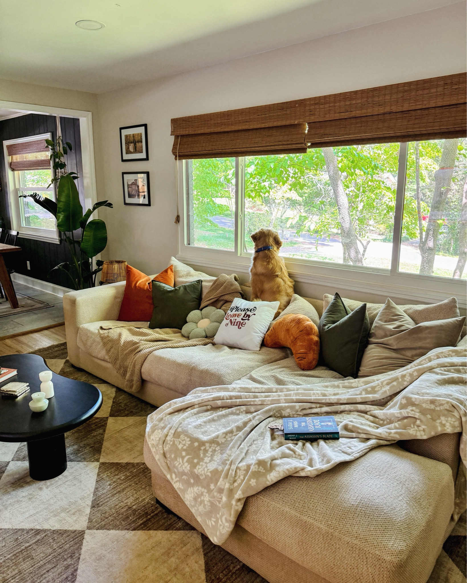 cozy couch 

#LTKSeasonal #LTKhome