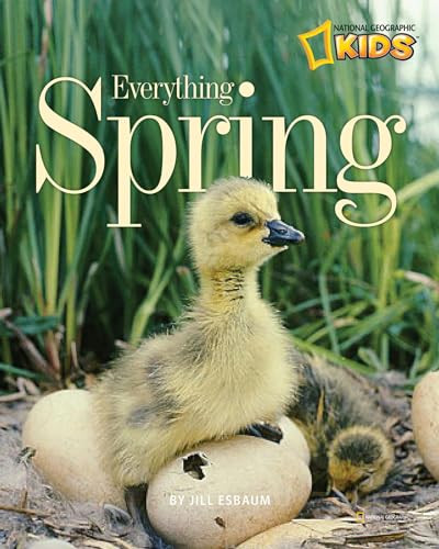 Everything Spring (Picture the Seasons) | Amazon (US)