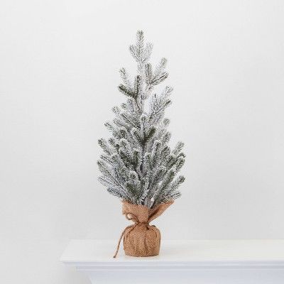 24" Burlap Wrapped Plastic Flocked Tree - Wondershop™ | Target