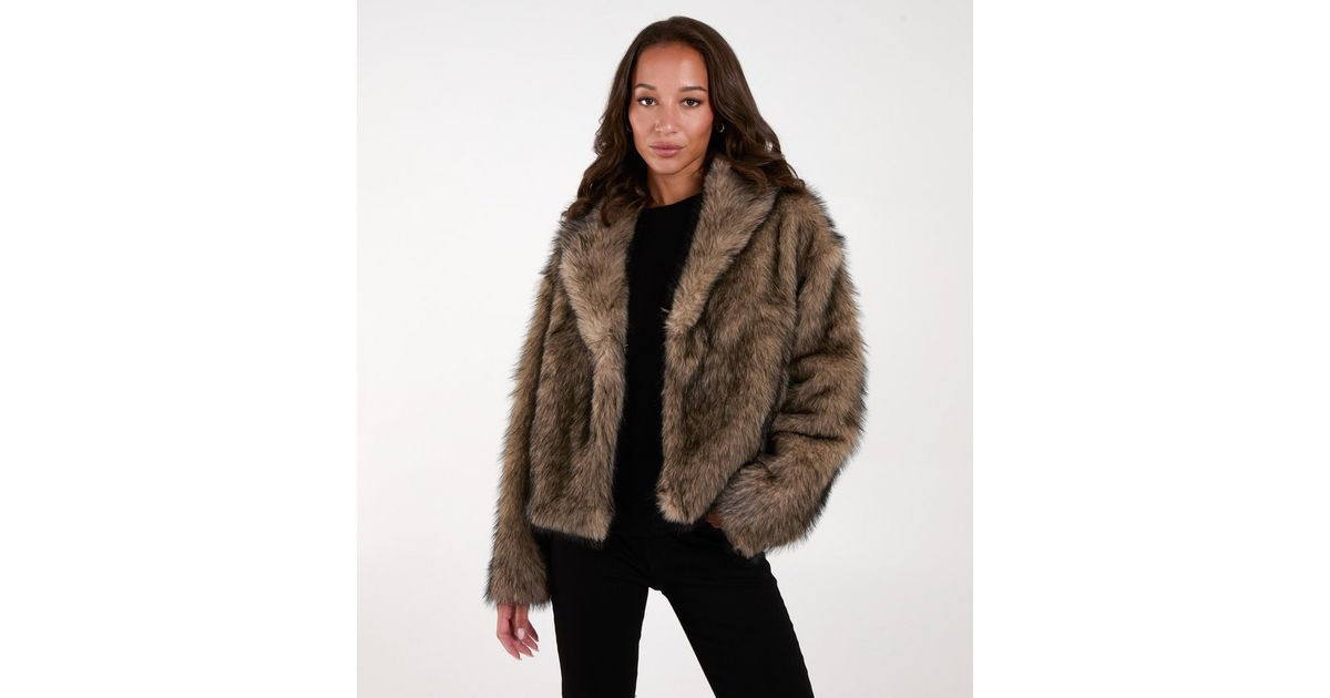 Blue Vanilla Brown Faux Fur Jacket | New Look | New Look (UK)
