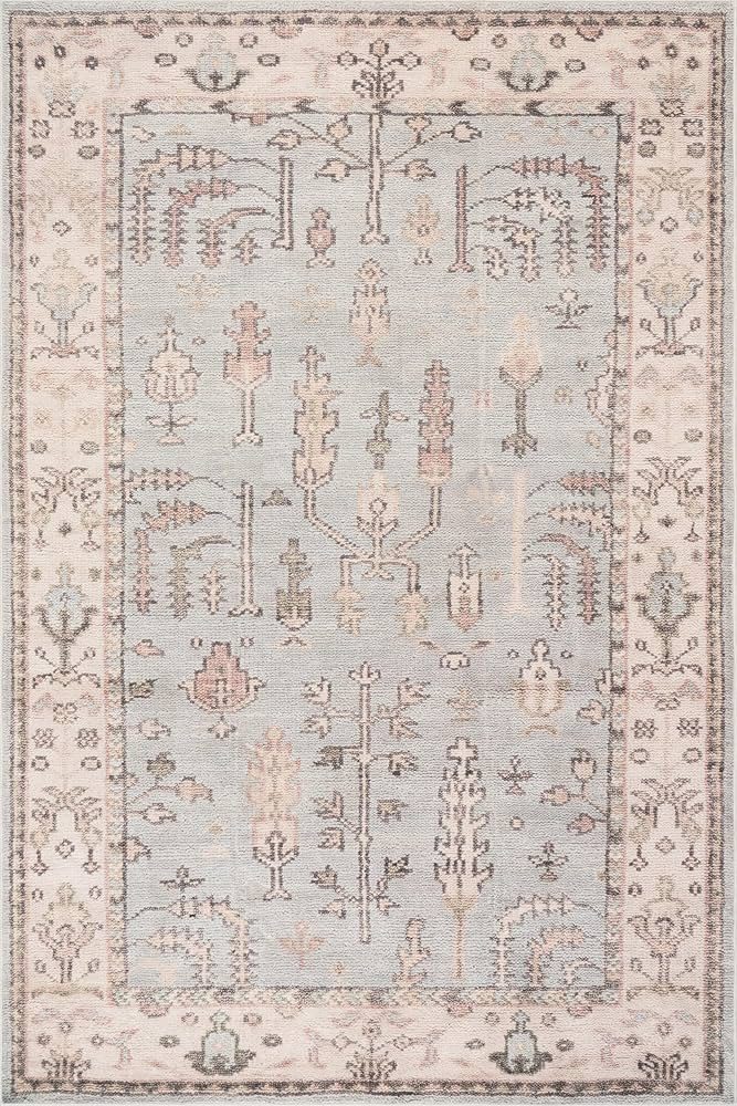 Dash & Albert Charelle Rustic Washable Rug | Amazon (US)