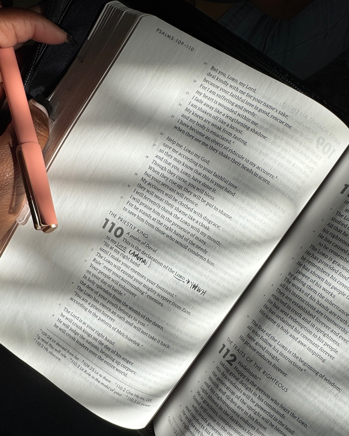 my go to study bible 