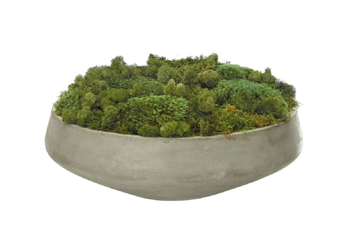 MOSS MOUND | Alice Lane Home Collection