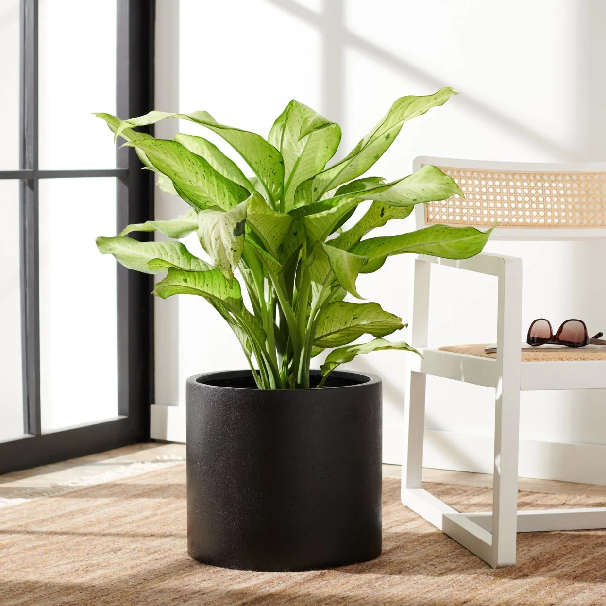 SAFAVIEH Outdoor Collection Braslen Concrete Planter Black | Walmart (US)