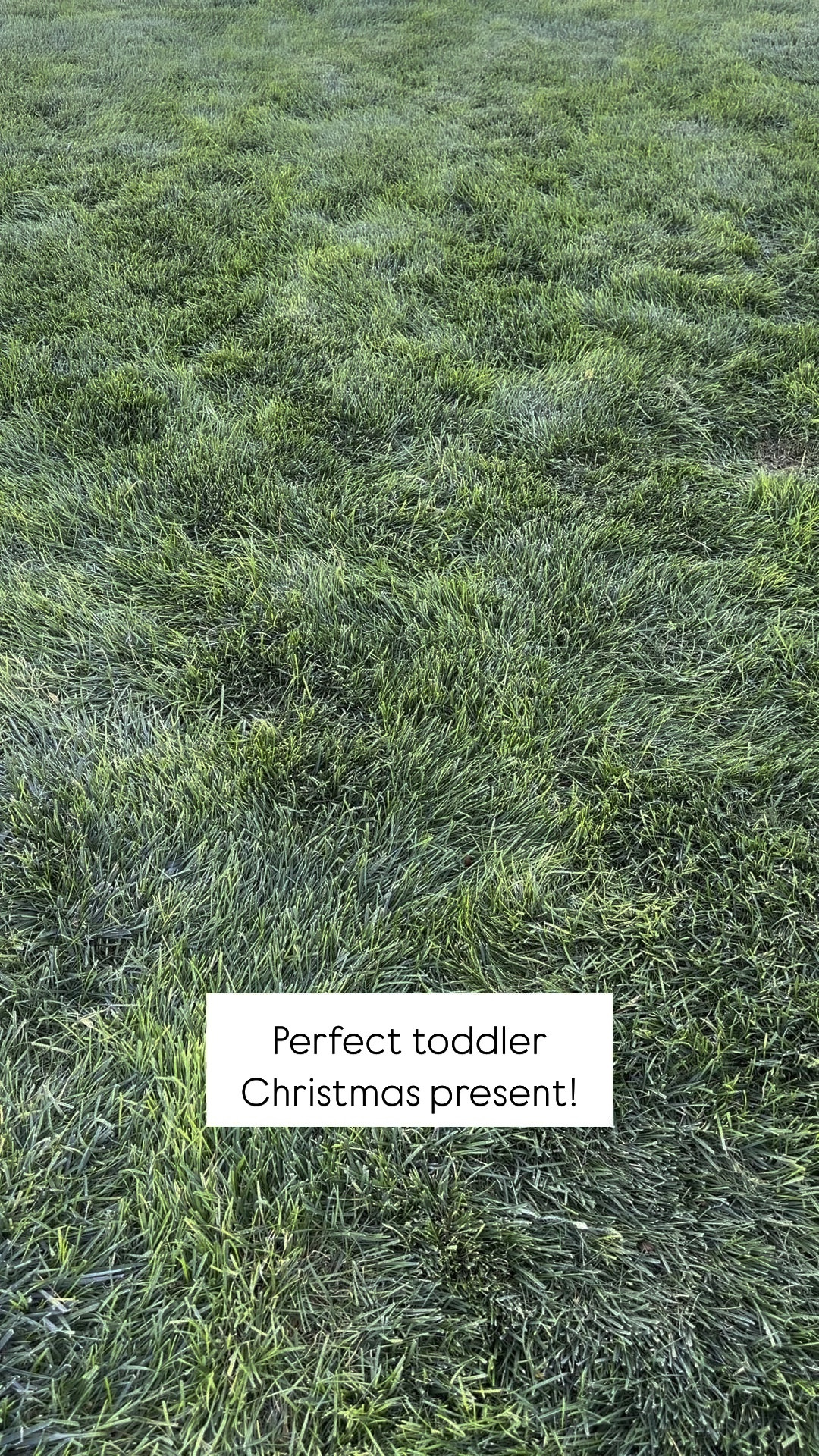 These beams are great because you can use them inside or outside, you create the course, and they stack up to store! Perfect for any toddler family. 

#LTKKids #LTKHoliday #LTKSeasonal