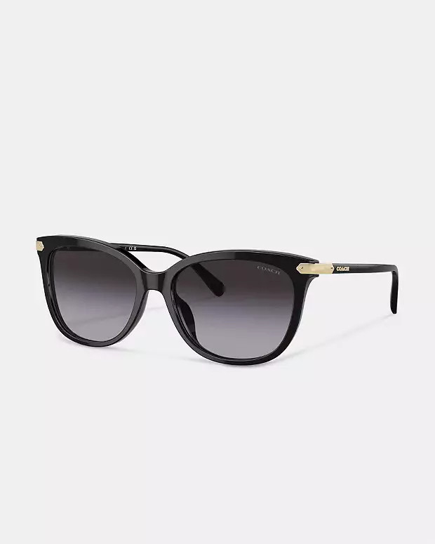 Wrap Around Hangtag Square Sunglasses | Coach (US)