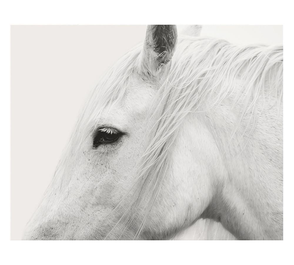 White Horse Framed Print by Jennifer Meyers | Pottery Barn (US)