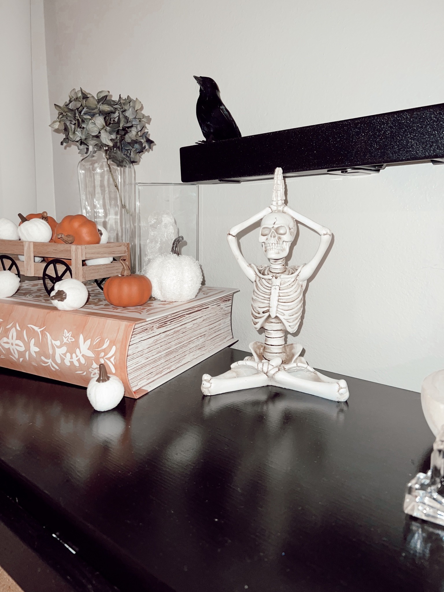 🎃Up close and personal Halloween decor💀

#LTKhome #LTKSeasonal #LTKfamily