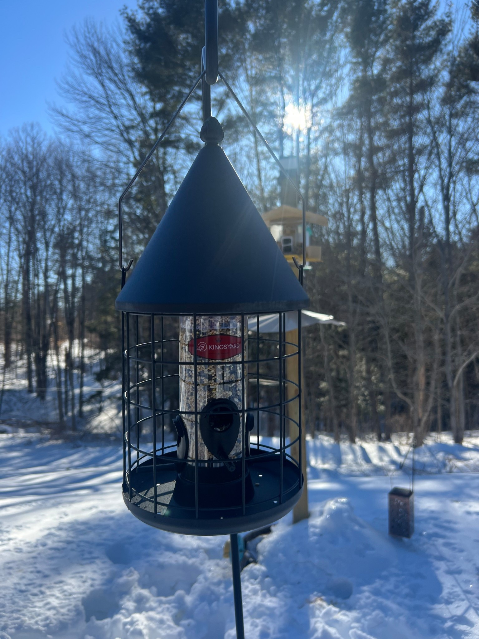 This squirrel proof feeder is amazing!! Check out the reel on my IG page to check it out!! 

#LTKHome #LTKFamily