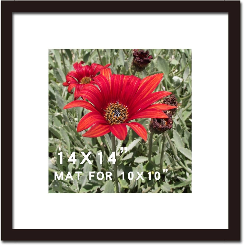 SKAOTUS 14x14 Picture Frame Black Solid Wood for Mat 10x10 Wall Mounting Square Poster Photo Fram... | Amazon (CA)