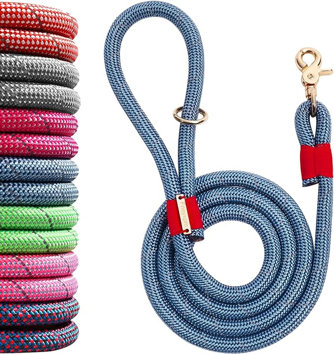 Nylon Rope Dog Leash Reflective, Handmade Braided Strong Dog Leash, Heavy Duty Rope Leash for Med... | Amazon (US)