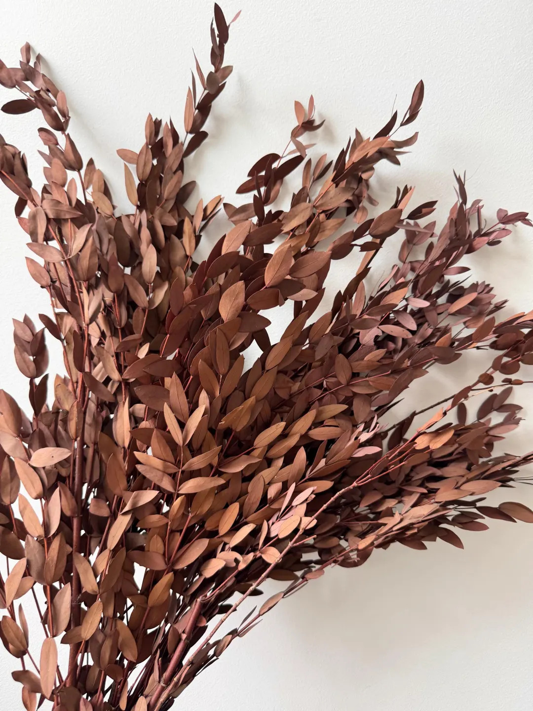 Preserved Dried Native Eucalyptus PARVIFOLIA GUM Leave Branch Cut | Floral Natural Arrangement | ... | Etsy (US)